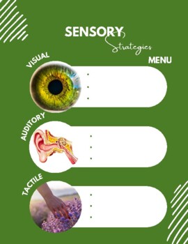 Preview of Sensory Strategies Menu