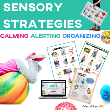 Preview of Sensory Strategies Starter Kit