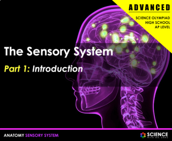 Preview of Sensory System 5 Senses Advanced Presentation PPT + Student Summary Notes