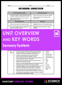 Preview of Sensory System or Body Senses Anatomy Unit Overview and Vocabulary Key Words