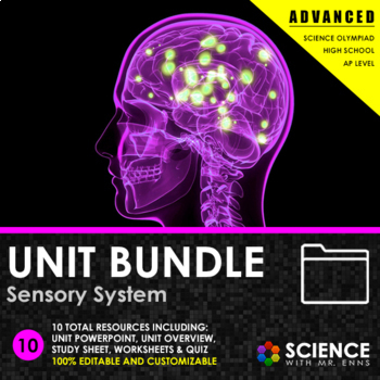 Preview of Sensory System or Senses Anatomy Unit- Sight, Hearing, Smell, Taste, Equilibrium