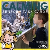 Sensory Task Cards-Calming Activities