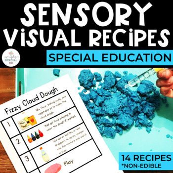 Preview of Sensory Visual Recipes