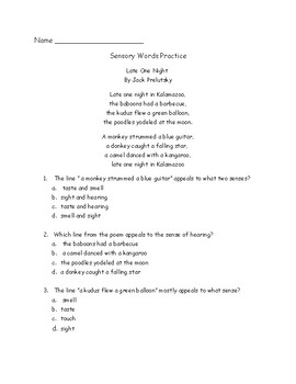 Preview of Sensory Word Practice Packet