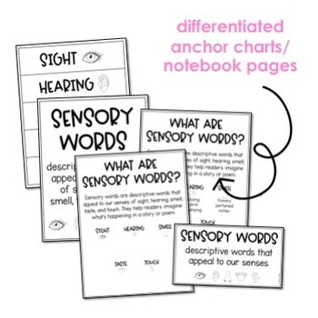 Sensory Words Activities by Alyssa Teaches | Teachers Pay Teachers