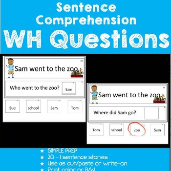 Preview of Sentence Comprehension-WH Questions Set 3