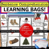 Sentence Comprehension WINTER WORDS Learning Bag for Speci