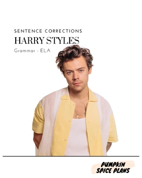 Preview of Sentence Corrections: Harry Styles