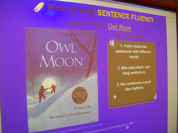Preview of Sentence Fluency: Owl Moon