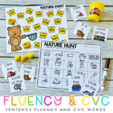 Sentence Fluency - Sight Word Fluency - CVC Words Fluency 