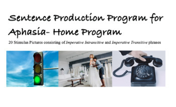 Preview of Sentence Production Program for Aphasia SPPA- Adult Speech Therapy Home Program