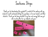 CVC Sentence Strips