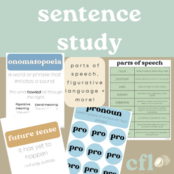 Preview of sentence study