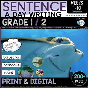 Preview of Sentence Writing Composite Grades 1/2 Weeks 1 to 10