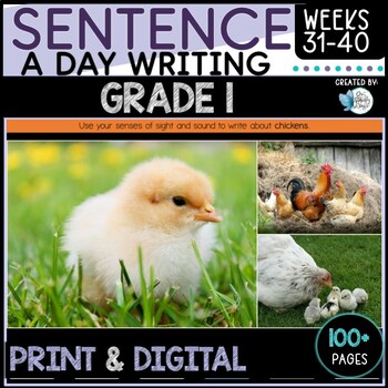 Preview of Sentence Writing Grade 1 Weeks 31 to 40