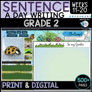 Preview of Sentence Writing Grade  2  Weeks 11 to 20