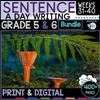 Preview of Sentence Writing Grades 5 and 6 Weeks 31 to 40