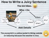 Sentence Writing Infographic