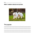 Sentence Writing - Write a Sentence About the Picture