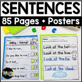 Sentence Writing and Structure Kindergarten 1st Grade Work