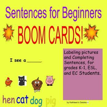 Preview of Sentences for Beginners BOOM CARDS!