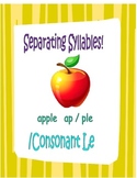 Syllables!  Vowel/ Consonant le Words