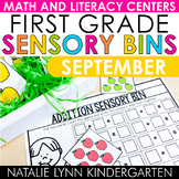 September Sensory Bins 1st Grade Apple Math and Literacy C