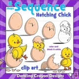 Sequence Cards and Clip Art: Chick Hatching from an Egg