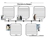 Sequence Timeline for the Life of a Penguin