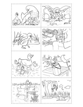 Preview of Sequencing - THE UGLY DUCKLING - Four Activities - English and Spanish