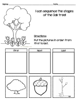 Preview of Sequencing Worksheet for Oak Tree!