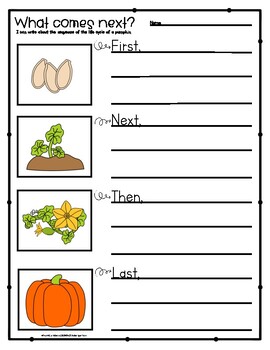 Sequencing Writing Prompt: Pumpkin Life Cycle (First, Next, Then, Last)