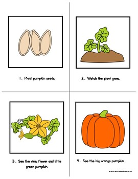 Sequencing Writing Prompt: Pumpkin Life Cycle (First, Next, Then, Last)