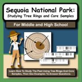 Sequoia National Park: Tree Rings Ages and Coring Samples 