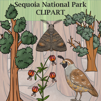 Preview of Sequoia National Park Clipart - Plants and Animals