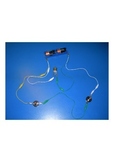 Series and Parallel Circuits Activity, Electricity, (Word 