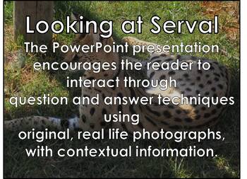 Preview of SERVAL cat - Interactive PowerPoint presentation with video snippets
