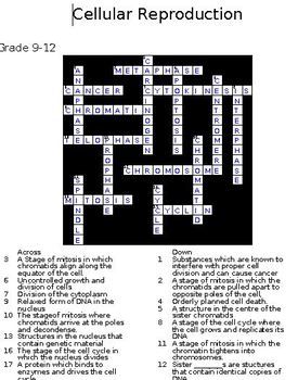 Set One 5 Biology Crosswords Macromolecules And Cells With Keys