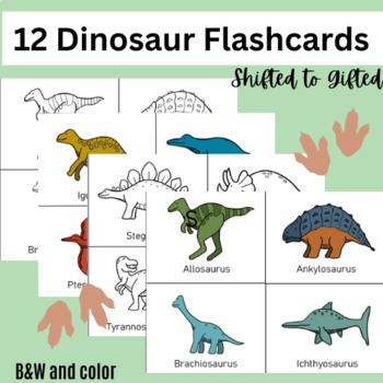 Set of 12 Dinosaur Flashcards by Pretty in PreK | TPT