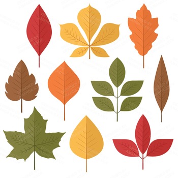 Set of 50 Autumn Leaves Clipart - Fall Leaves Clipart - Autumn Clip Art