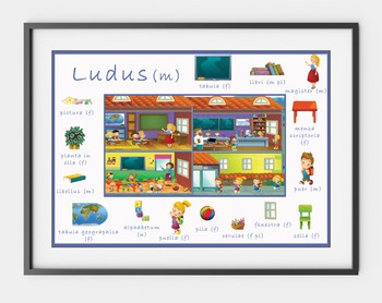 Preview of Set of 6 Latin Vocabulary Posters
