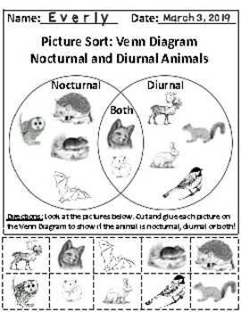 Preview of Set of 9: Picture Sort Graphing Activities on Animals *Answer Keys Included!