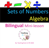 Sets of Numbers Mini-Lesson in English and Spanish ELL