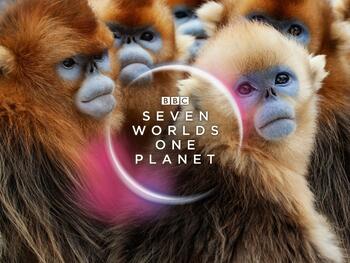 Preview of Seven Worlds One Planet - David Attenborough - BBC - 7 Episode Bundle