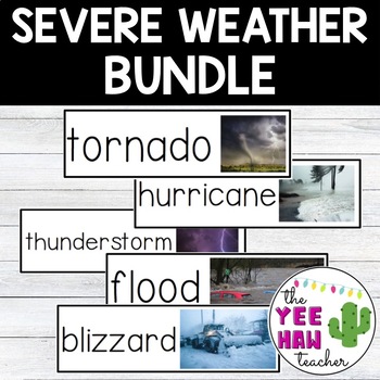 Preview of Severe Weather BUNDLE: Hurricane, Tornado, Thunderstorm, Blizzard, Flood