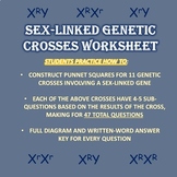 Sex Linked Genetic Crosses Worksheet (Punnett Squares and 