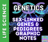 Sex-Linked Traits, Genes, and Pedigrees Graphic Notes