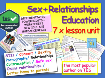 Preview of Sex Education and Relationships  (STDs, Consent, Pornography, more!)