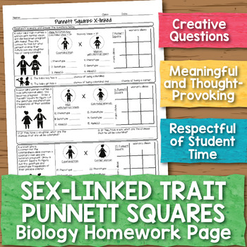 Preview of Sex-linked Trait Punnett Squares Biology Homework Worksheet