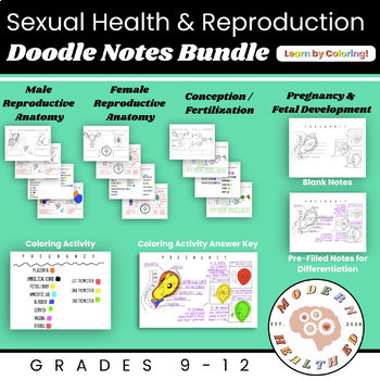 Preview of Sexual Health / Sex Ed / Sexuality / Reproductive Anatomy Doodle Notes